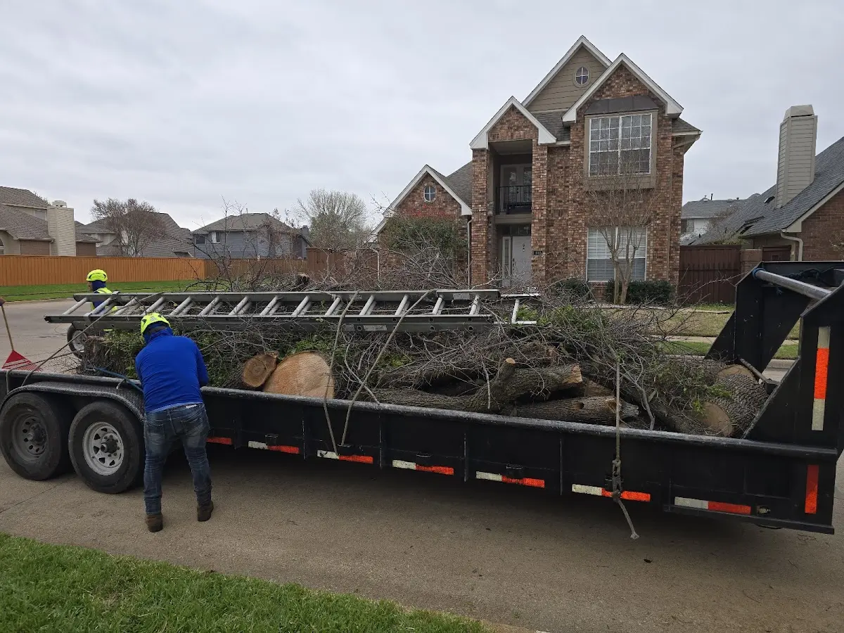 Expert Tree Pest Control with proper safety equipment in Clarkfield